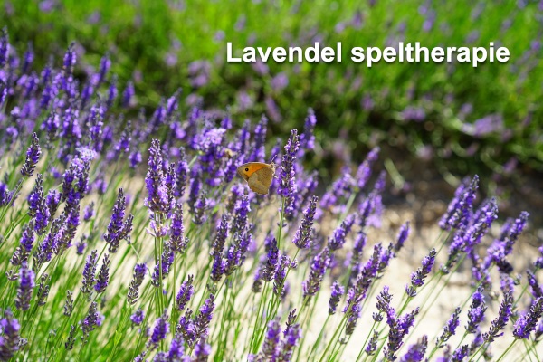 Lavendel Speltherapie